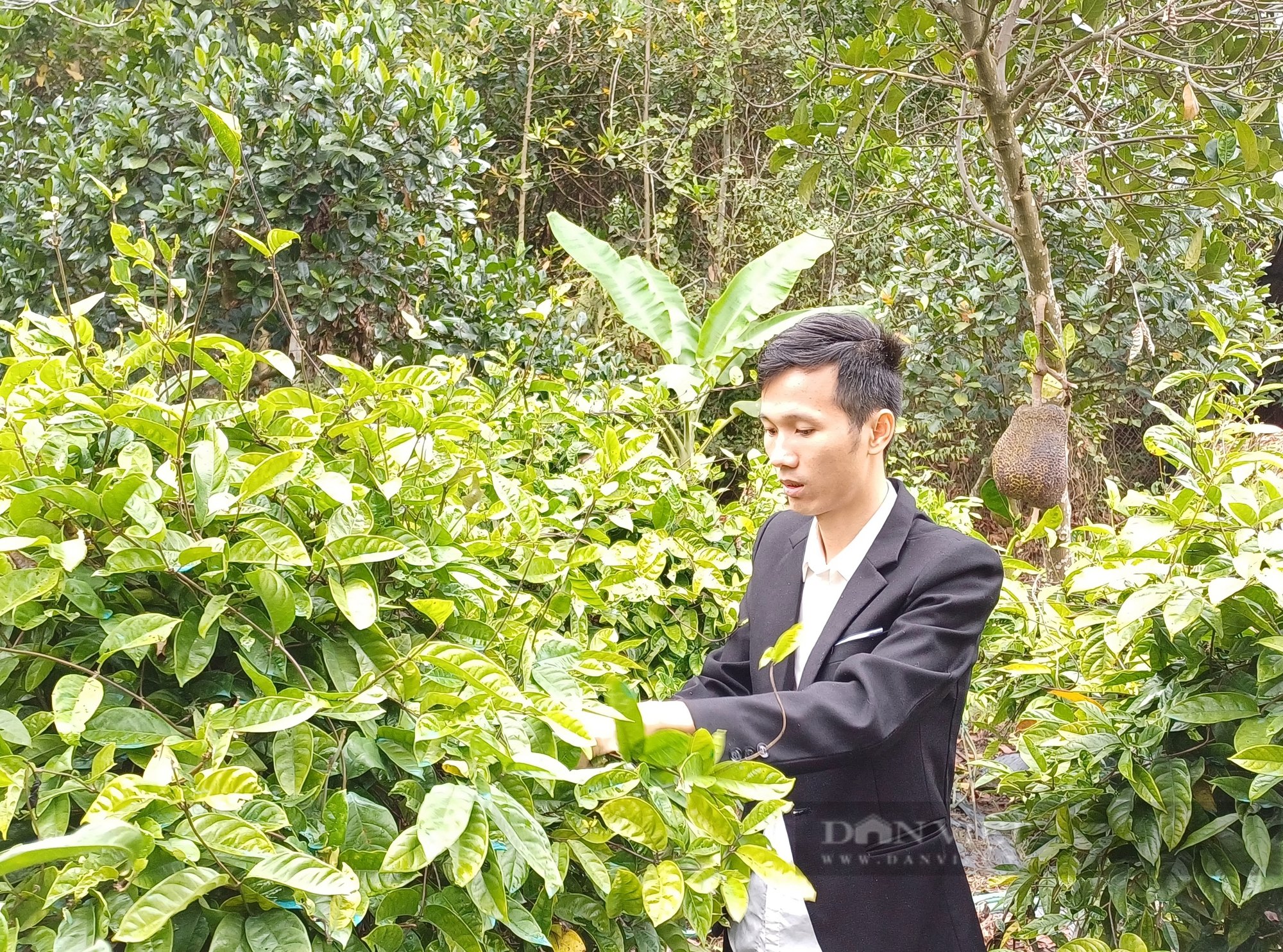 Thanh niên Thái Nguyên nhận giải thưởng Lương Định Của năm 2024 là người đam mê cây dược liệu từ nhỏ - Ảnh 1.