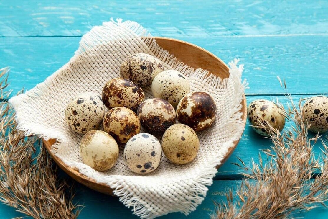 Loại quả "nhân sâm động vật", giúp tăng cường trí nhớ, bồi bổ thể lực, già trẻ đều thích, om cách này cực thơm - Ảnh 3.