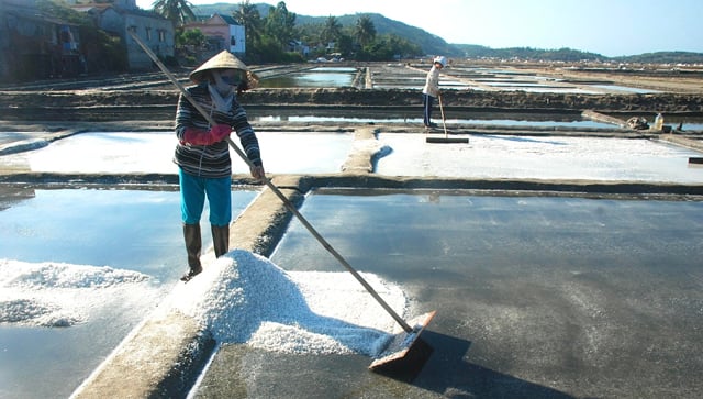 Vinh danh nghề làm muối Sa Huỳnh, tỉnh Quảng Ngãi - Ảnh 3.