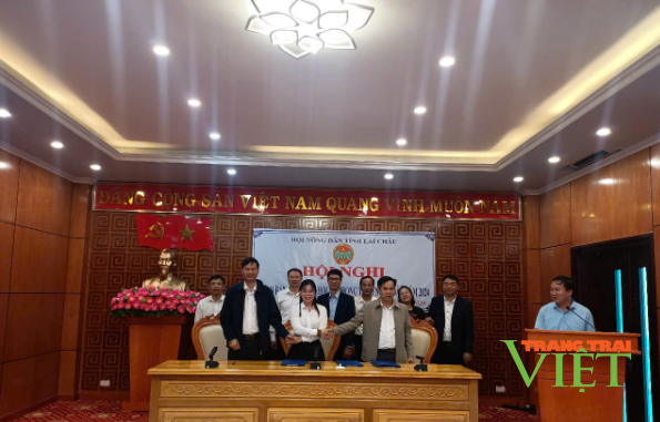 Lai Châu: Giao ban công tác hội và phong trào nông dân năm 2024 - Ảnh 2.