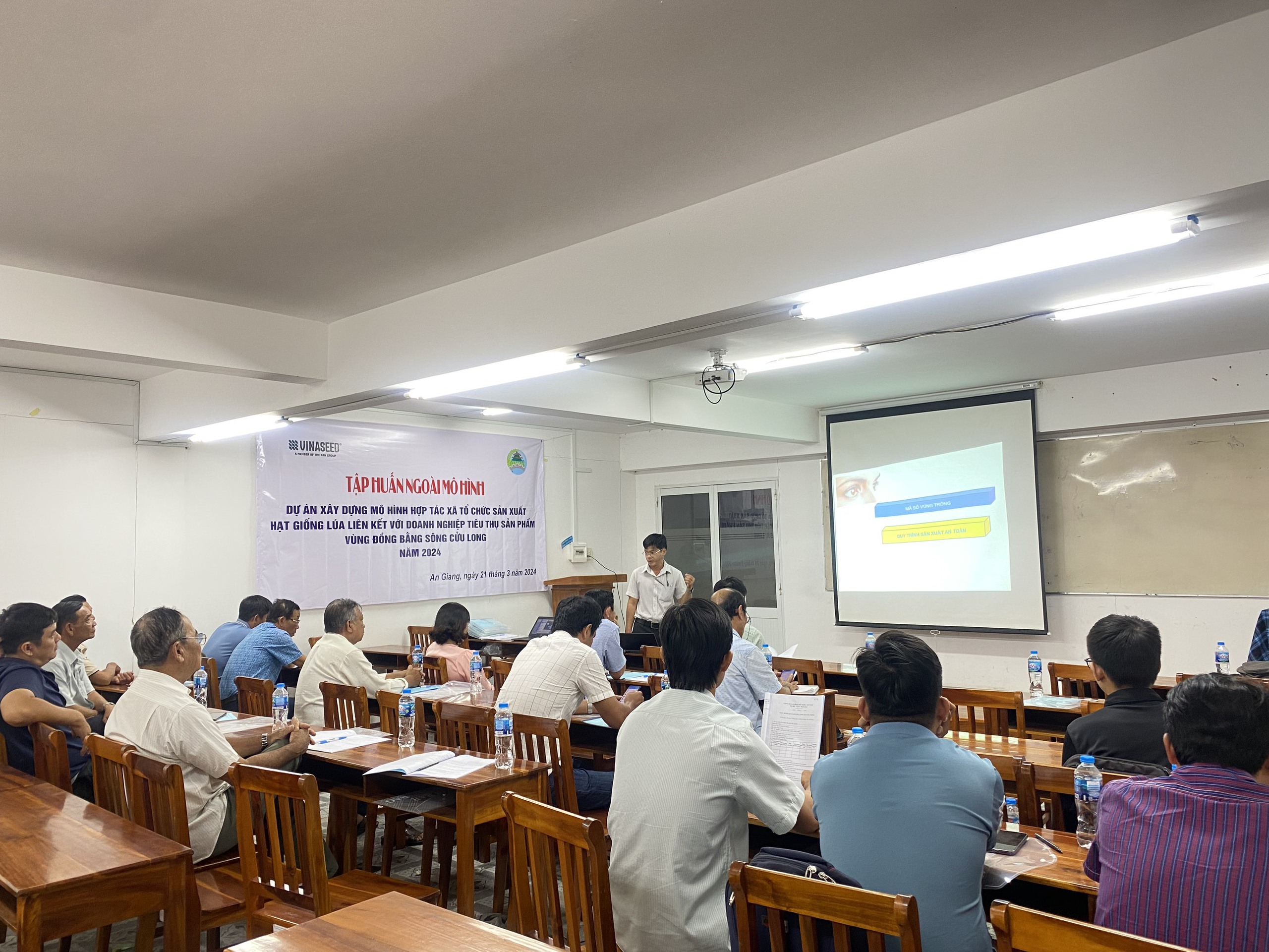 Hình thành vùng sản xuất giống lúa với quy mô lớn hàng trăm ha tại ĐBSCL - Ảnh 4.