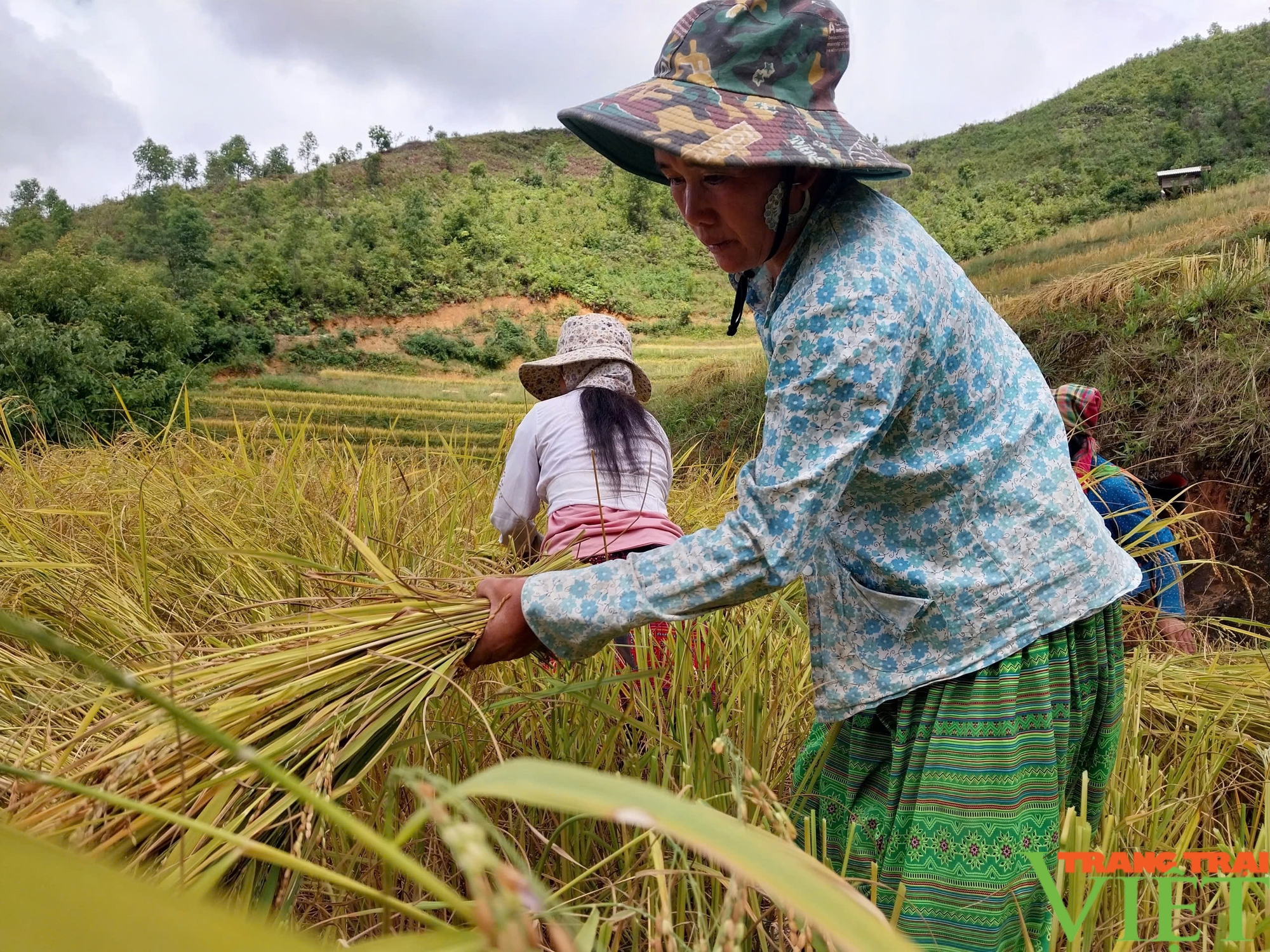 Bắc Yên: Xím Vàng nỗ lực giảm nghèo - Ảnh 2.