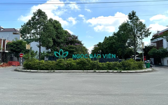 Dời Chợ bán hoa Tết cổ truyền Ất Tỵ 2025 của tỉnh Quảng Ngãi về địa điểm mới- Ảnh 1. Dời Chợ bán hoa Tết cổ truyền Ất Tỵ 2025 của tỉnh Quảng Ngãi về địa điểm mới- Ảnh 1.