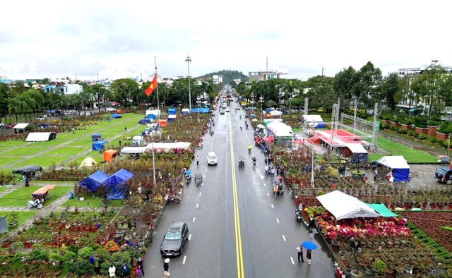 Dời Chợ bán hoa Tết cổ truyền Ất Tỵ 2025 của tỉnh Quảng Ngãi về địa điểm mới- Ảnh 7. Dời Chợ bán hoa Tết cổ truyền Ất Tỵ 2025 của tỉnh Quảng Ngãi về địa điểm mới- Ảnh 7.