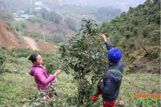 Từng bước nâng cao thu nhập, cải thiện đời sống người dân xã vùng cao Bắc Yên - Ảnh 2.