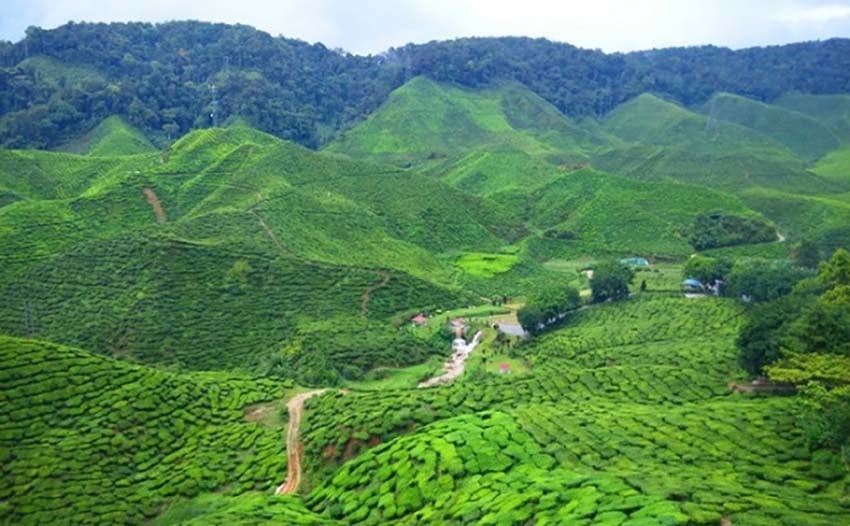 Cách Hà Nội hơn 1 tiếng di chuyển, điểm đến như trong phim kiếm hiệp trở thành nơi “sống ảo” của giới trẻ - Ảnh 1.