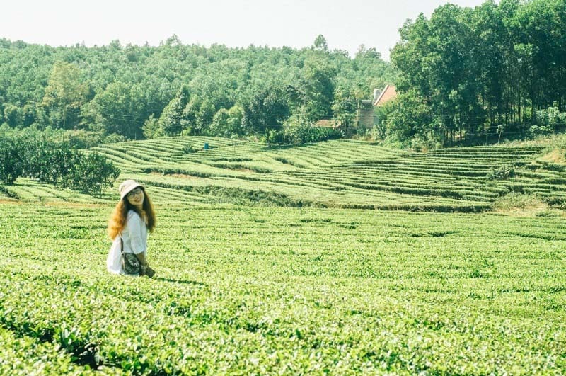 Cách Hà Nội hơn 1 tiếng di chuyển, điểm đến như trong phim kiếm hiệp trở thành nơi “sống ảo” của giới trẻ - Ảnh 3.