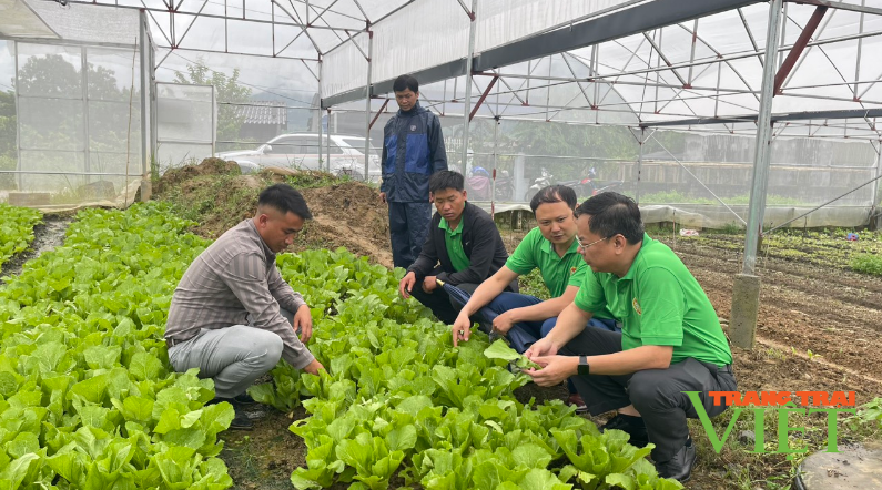 Nông dân một xã ở Lai Châu thi đua sản xuất kinh doanh giỏi - Ảnh 2.