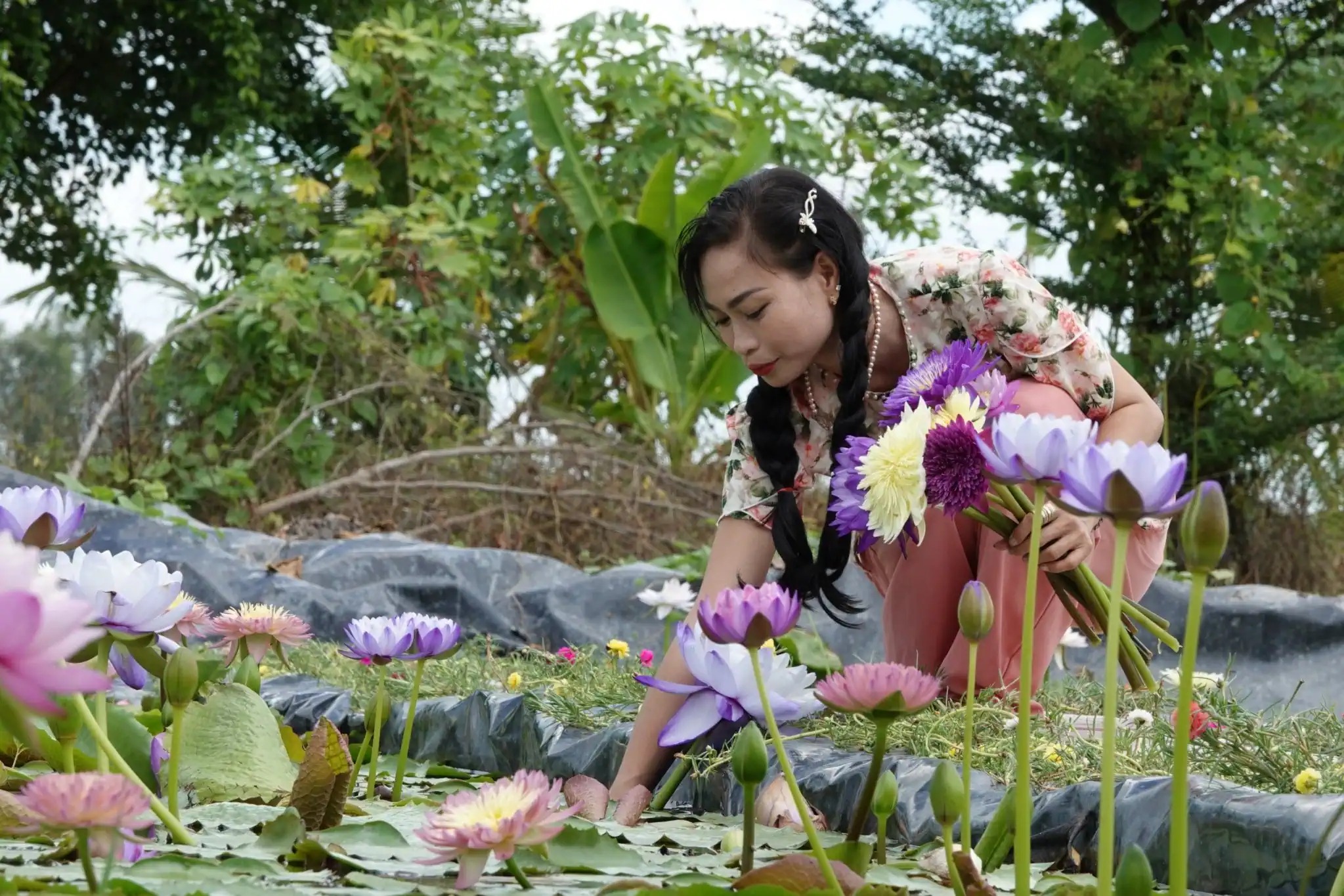 Chị đẹp Hậu Giang trồng hoa súng kiểng ở vườn sầu riêng, ai ngờ "hưởng lương" cao, 50-60 triệu/tháng - Ảnh 1.