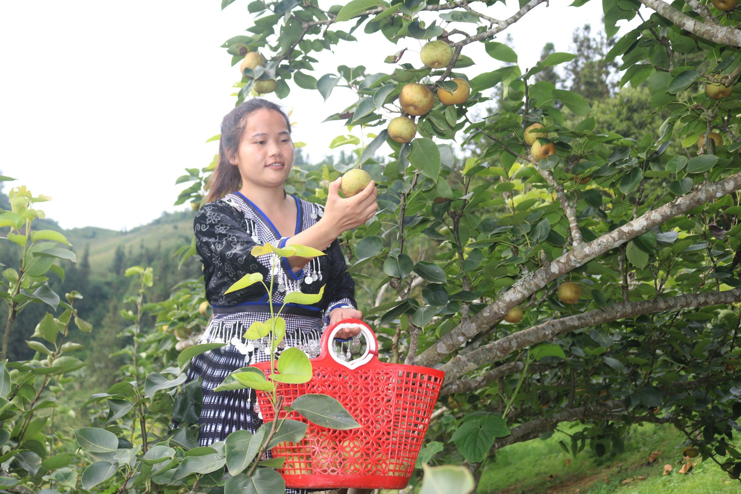 Lào Cai: Bàn giải pháp phát triển du lịch nông thôn, sản phẩm quà tặng phục vụ du lịch vùng đồng bào DTTS - Ảnh 3.