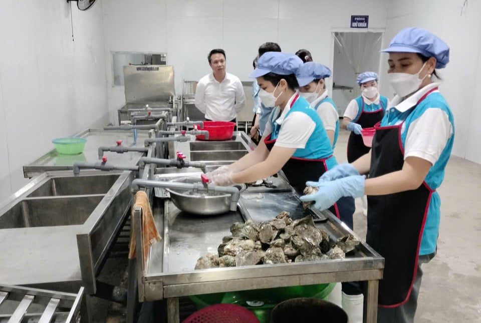 Một ông giám đốc Quảng Ninh tự tin xuất khẩu hàu đại dương, hải sản đại bổ  nhờ công nghệ này- Ảnh 3.