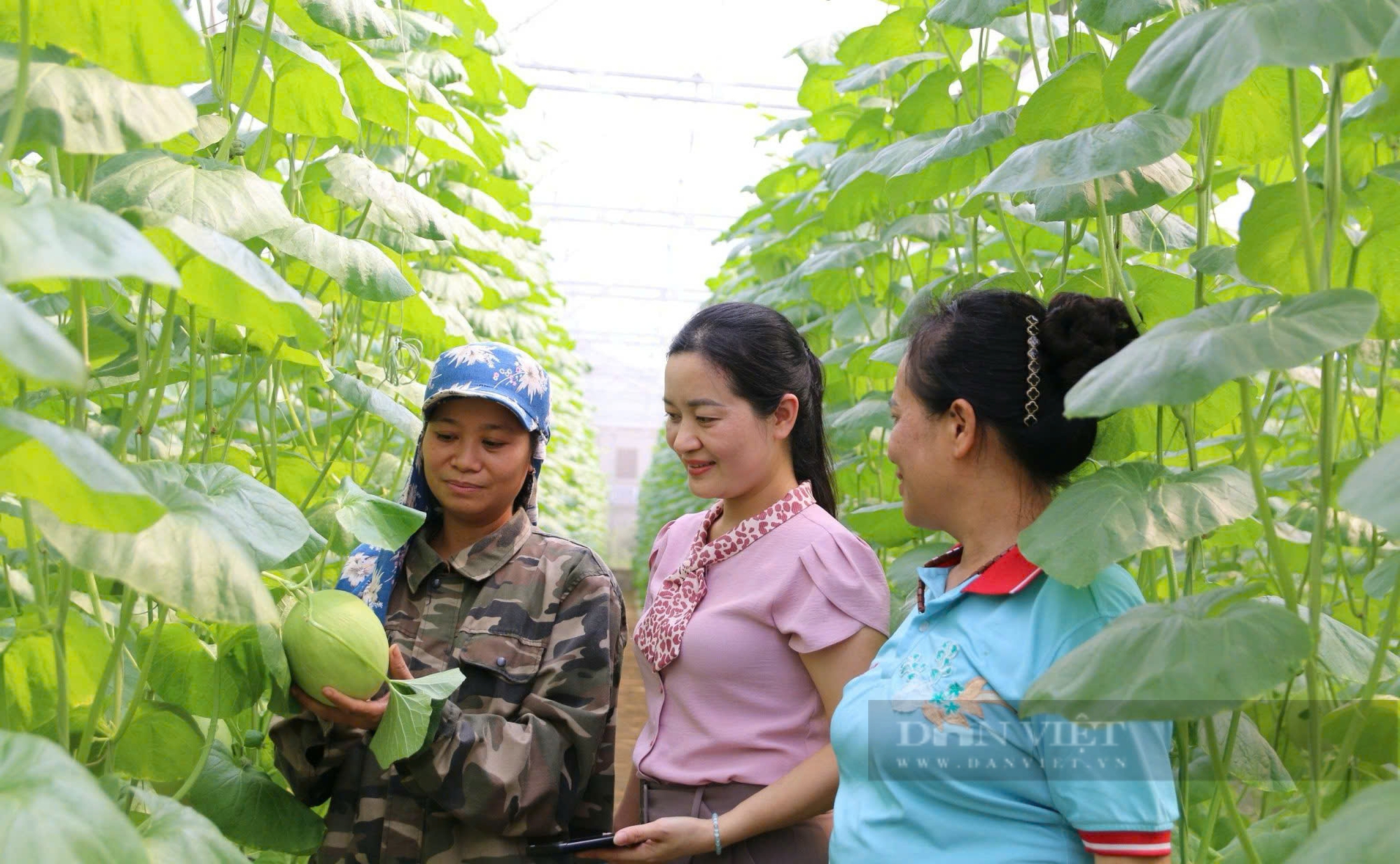 Nông dân Thiệu Hóa ăn nên làm ra từ vay vốn tín dụng chính sách - Ảnh 1.