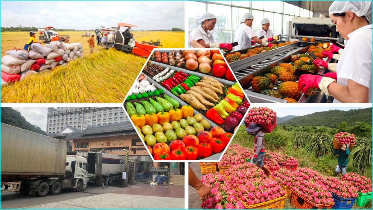 Tọa đàm: Xuất khẩu nông lâm thủy sản năm 2024 - Kỷ lục mới, vị thế mới - Ảnh 1.