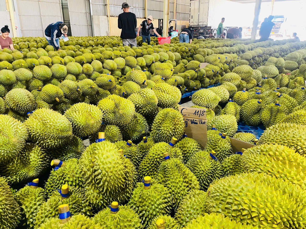 Tọa đàm: Xuất khẩu nông lâm thủy sản năm 2024 - Kỷ lục mới, vị thế mới - Ảnh 2.
