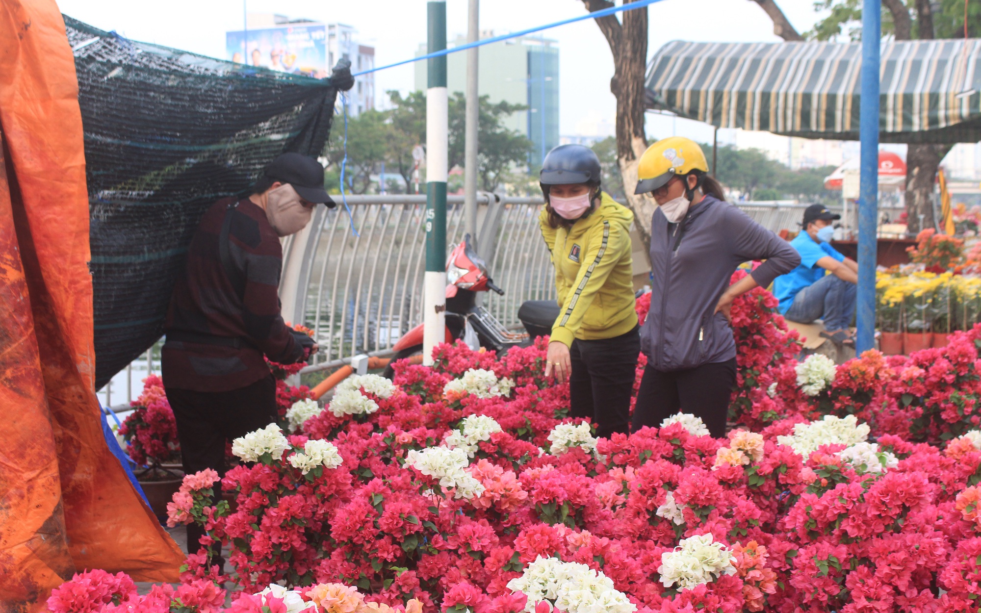Dời Chợ bán hoa Tết cổ truyền Ất Tỵ 2025 của tỉnh Quảng Ngãi về địa điểm mới- Ảnh 2.