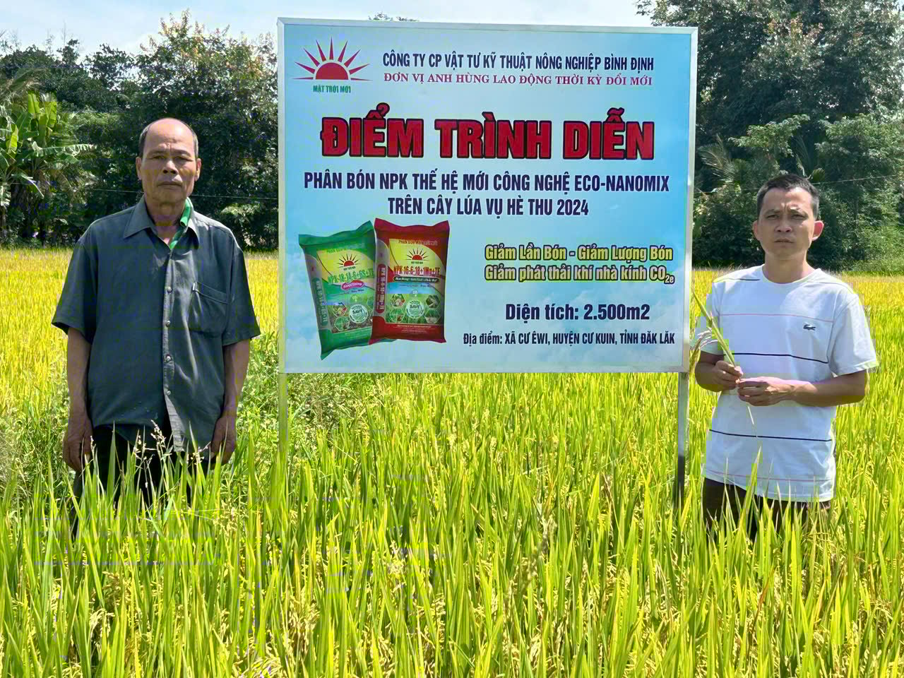 Loại phân bón giúp cây lúa ở Tây Nguyên chống chọi với nắng gắt, hạn cục bộ  - Ảnh 1.