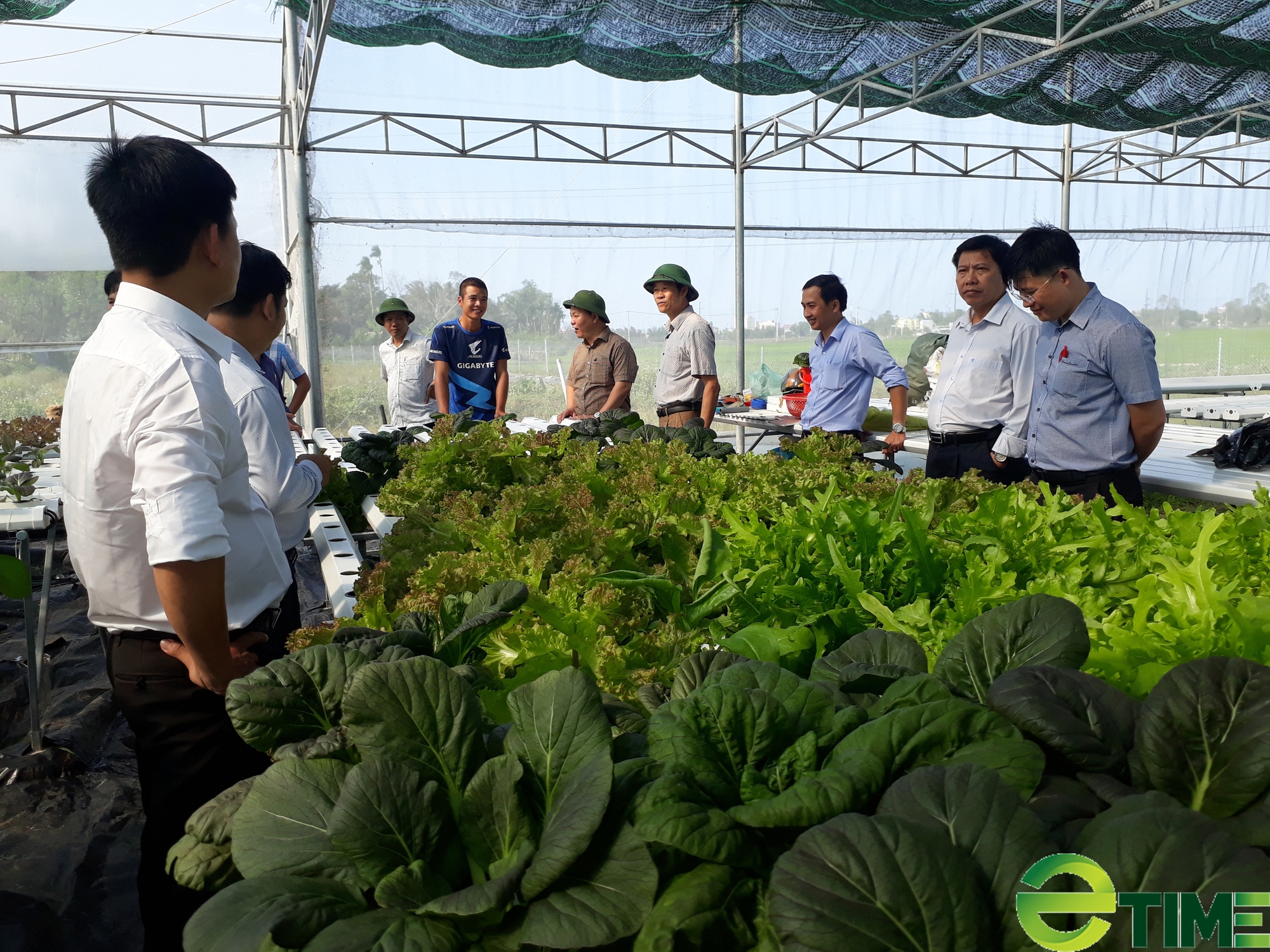 Thành phố Tam Kỳ (Quảng Nam) hướng đến phát triển nông nghiệp sạch, nông nghiệp công nghệ cao- Ảnh 1.