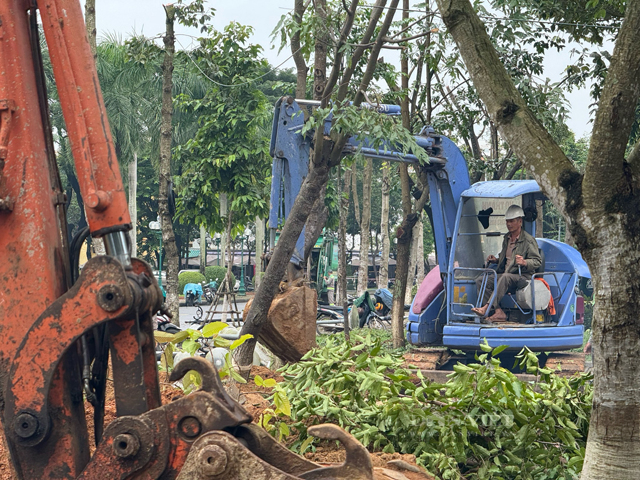 Lộ diện nhà thầu dự án 146 tỷ; hình ảnh Quảng trường, đường Phạm Văn Đồng TP.Quảng Ngãi sau nâng cấp- Ảnh 6.