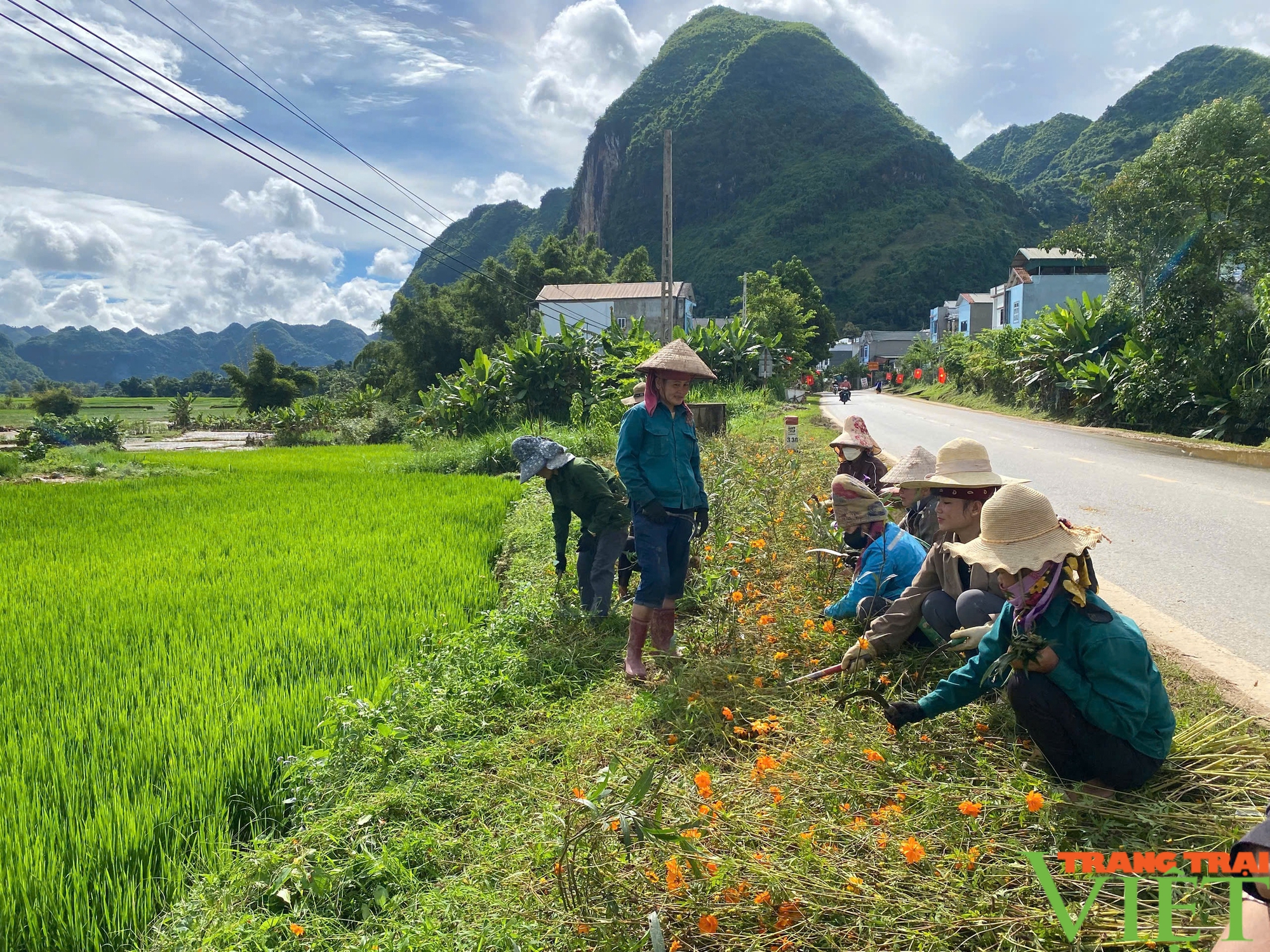 Thuận Châu: Tông Lạnh duy trì và nâng cao các tiêu chí nông thôn mới - Ảnh 4.