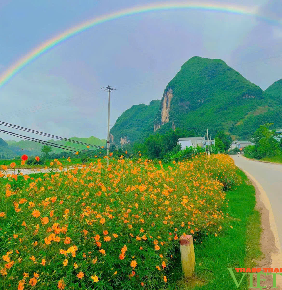 Thuận Châu: Tông Lạnh duy trì và nâng cao các tiêu chí nông thôn mới - Ảnh 5.