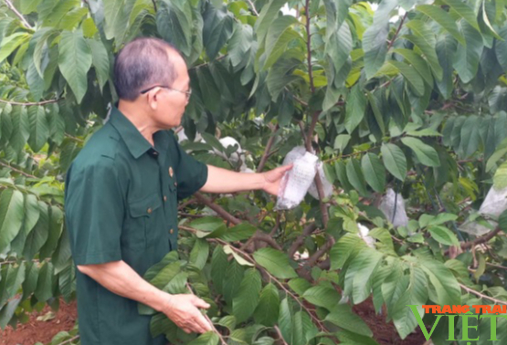 Mai Sơn phát triển sản phẩm OCOP từ thế mạnh nông nghiệp - Ảnh 3.