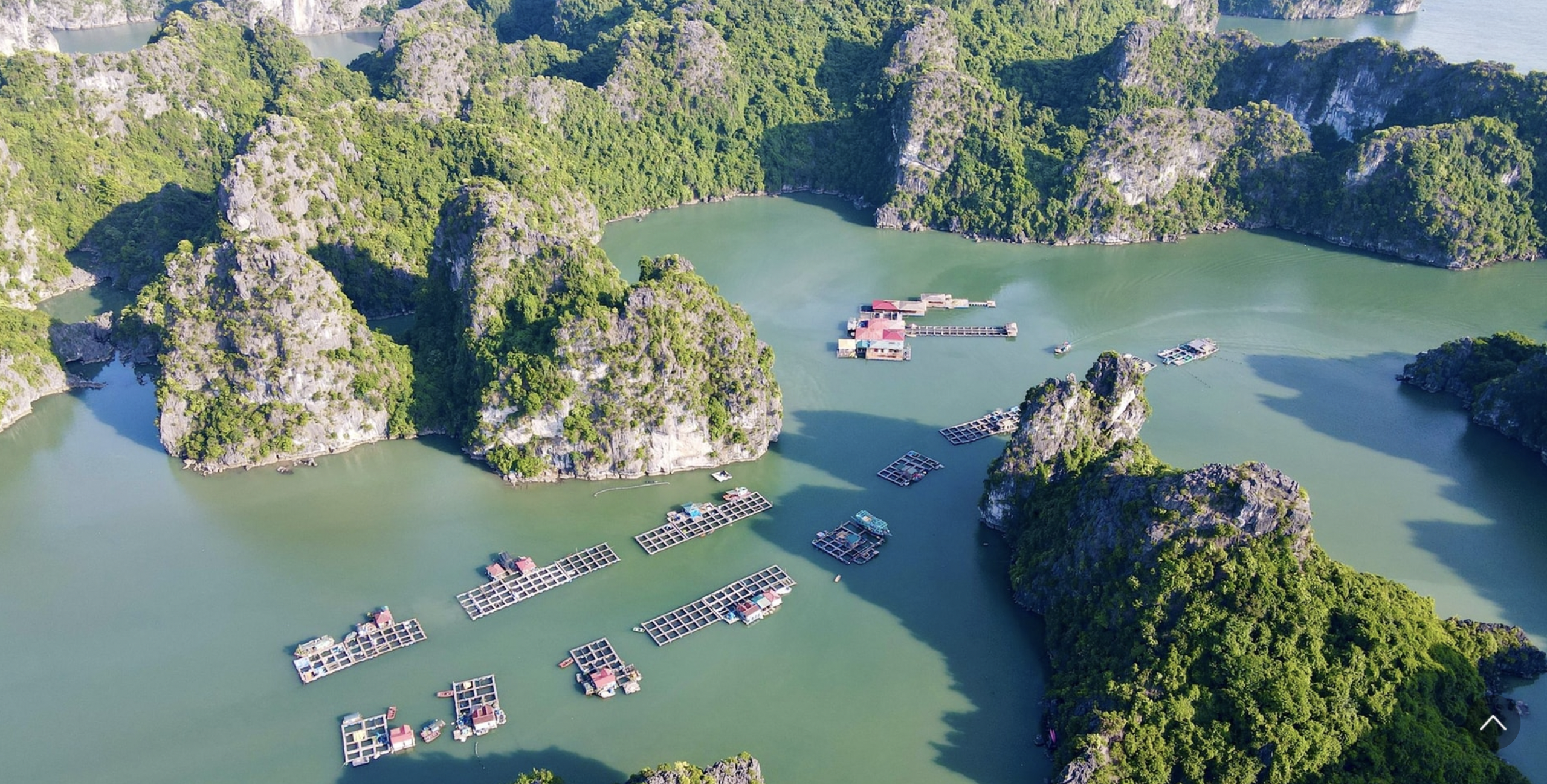 Thực hư thông tin “UNESCO xem xét loại vịnh Hạ Long khỏi danh sách Di sản thế giới”? - Ảnh 4.