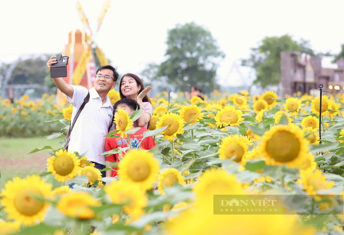 Khai mạc Lễ hội “Hoa hướng dương” với chuỗi sự kiện lớn nhất trong năm tại Van Phuc City - Ảnh 3.