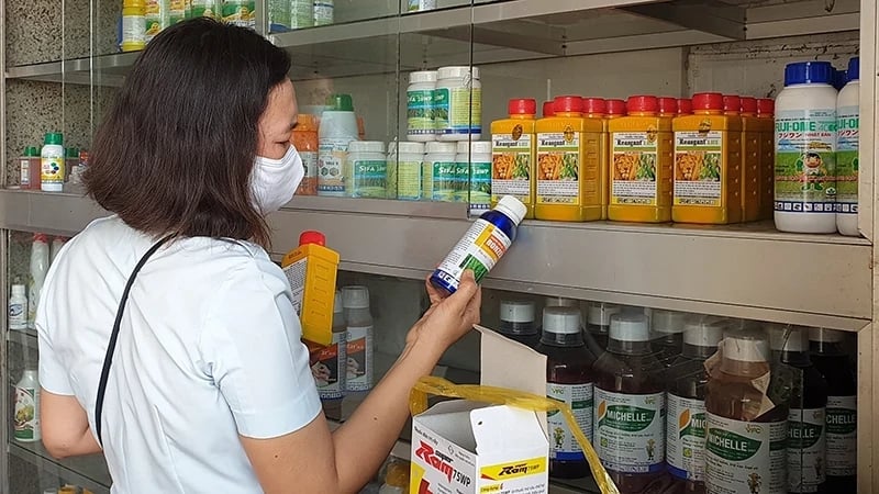 Tọa đàm Sử dụng thuốc bảo vệ thực vật "4 đúng" vì sức khỏe cây trồng và con người - Ảnh 2.