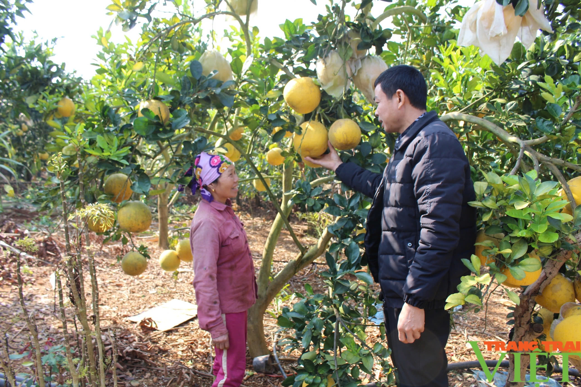 Mai Sơn: Hát Lót hoàn thành các tiêu chí nông thôn mới nâng cao - Ảnh 4.