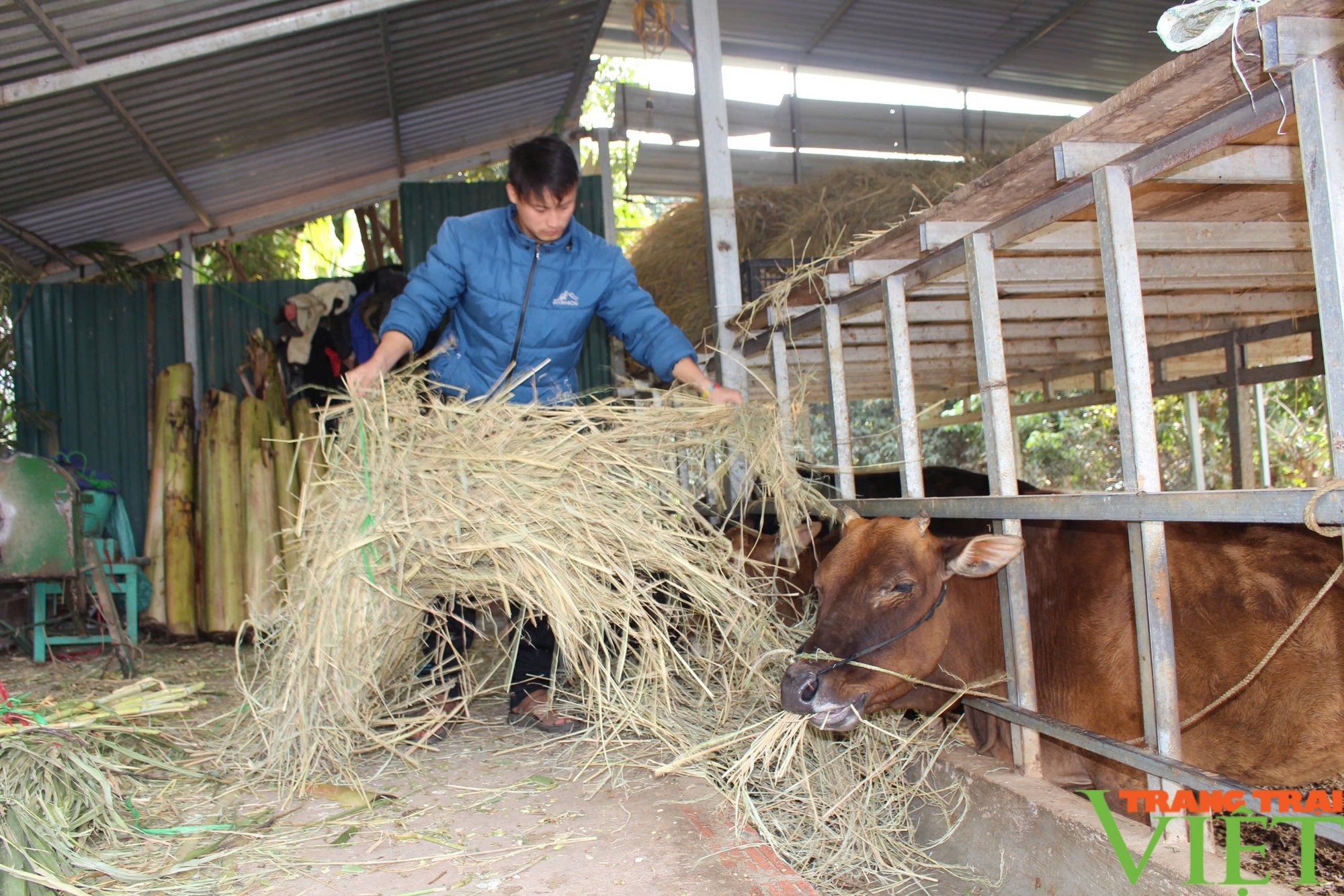 Bức tranh nông thôn mới vùng biên Sông Mã - Ảnh 5.