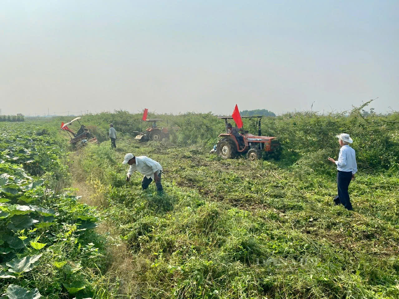 Nông dân thị xã Điện Bàn - Quảng Nam gắn trách nhiệm với cộng đồng - Ảnh 6.