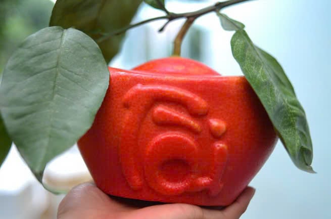 Tiết lộ bí quyết tạo ra những quả bưởi đỏ mang chữ "Tài Lộc", giá nửa triệu đồng/1 quả - Ảnh 3.