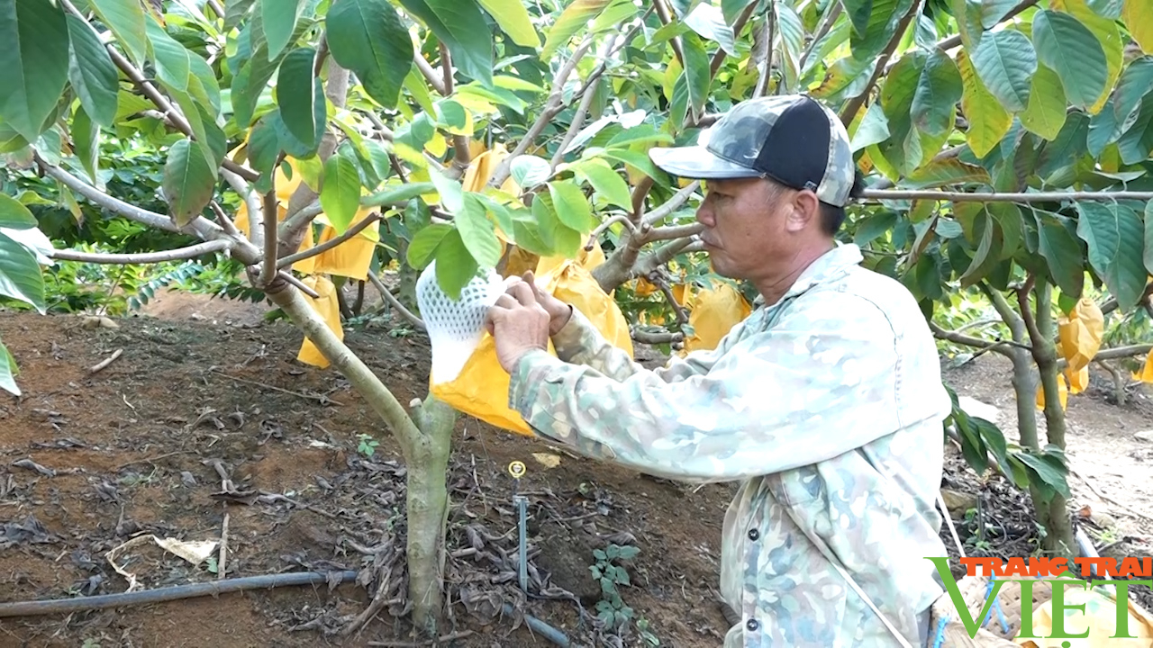 Nhiều đổi thay, khởi sắc ở xã nông thôn mới Yên Sơn - Ảnh 5.