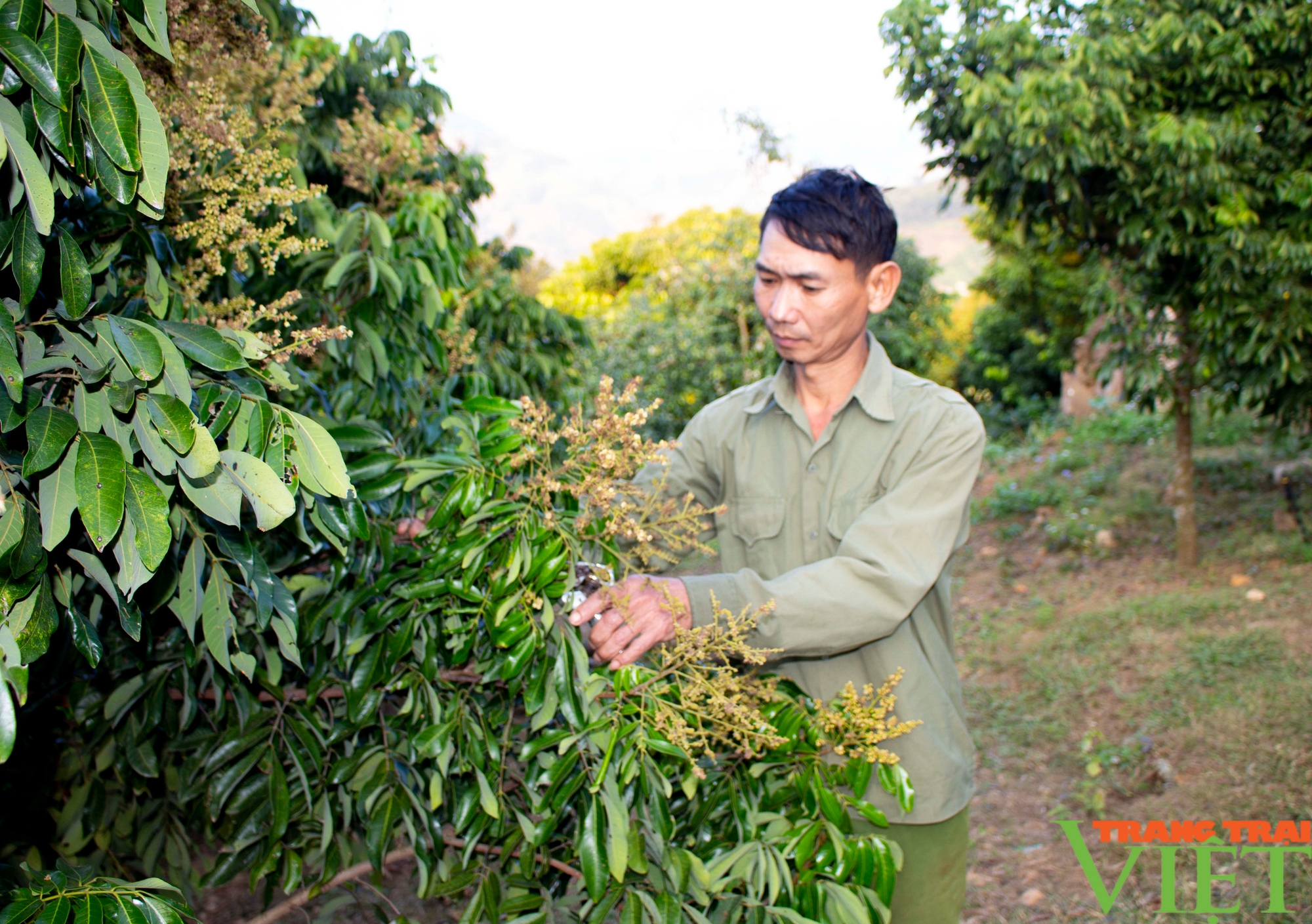 Về Chiềng Khương ở huyện Sông Mã xem bà con cùng chính quyền xây dựng nông thôn mới - Ảnh 4.