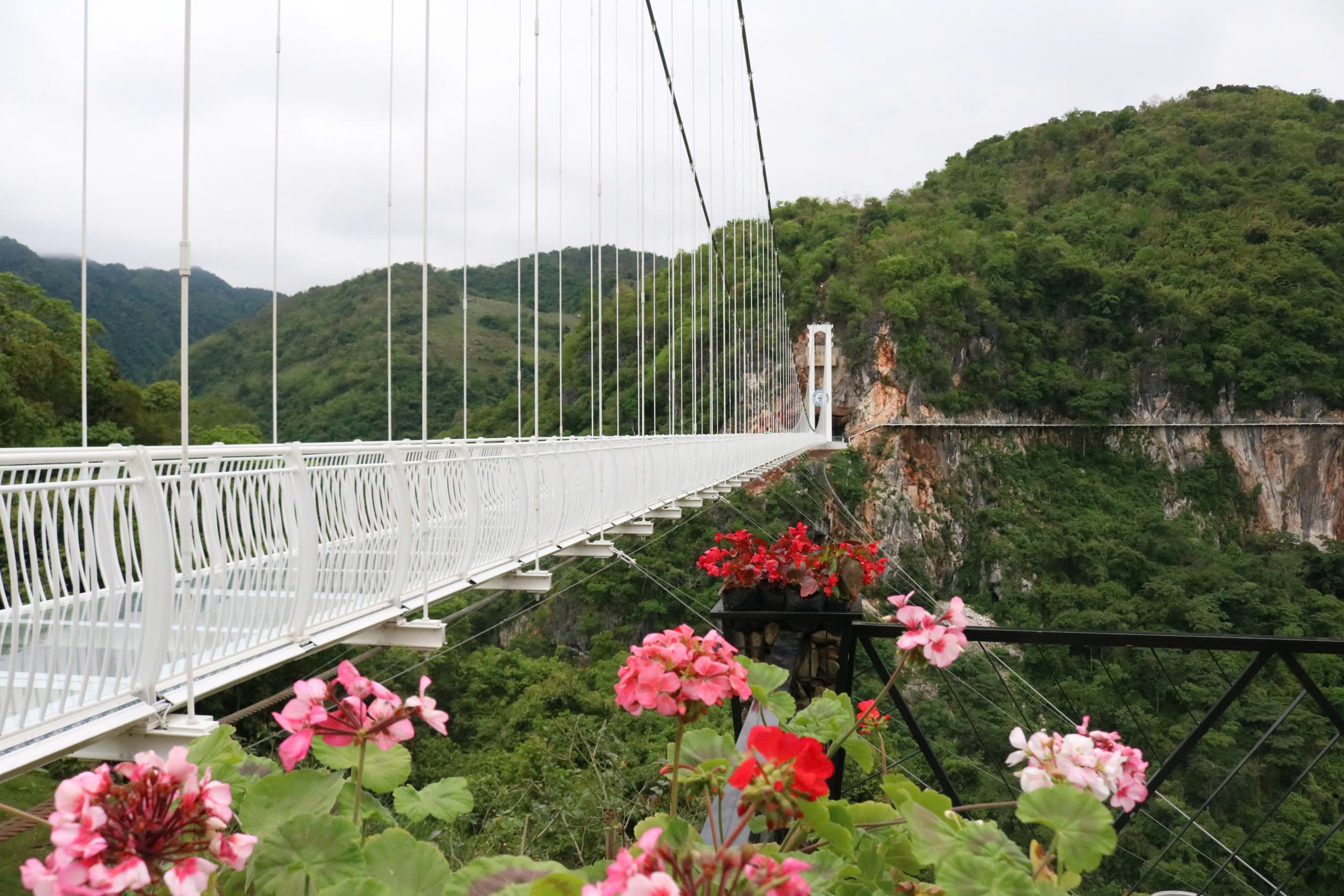 Cơ hội và thách thức về công tác xây dựng nông thôn mới khi Mộc Châu lên thị xã- Ảnh 2.