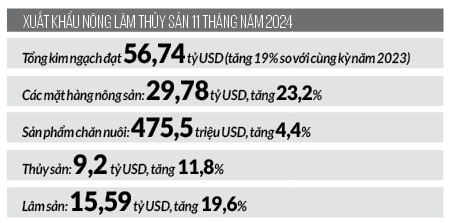 Chưa từng có, xuất khẩu gạo có thể đạt 9 triệu tấn, 3 nước Đông Nam Á mua nhiều nhất  - Ảnh 4.