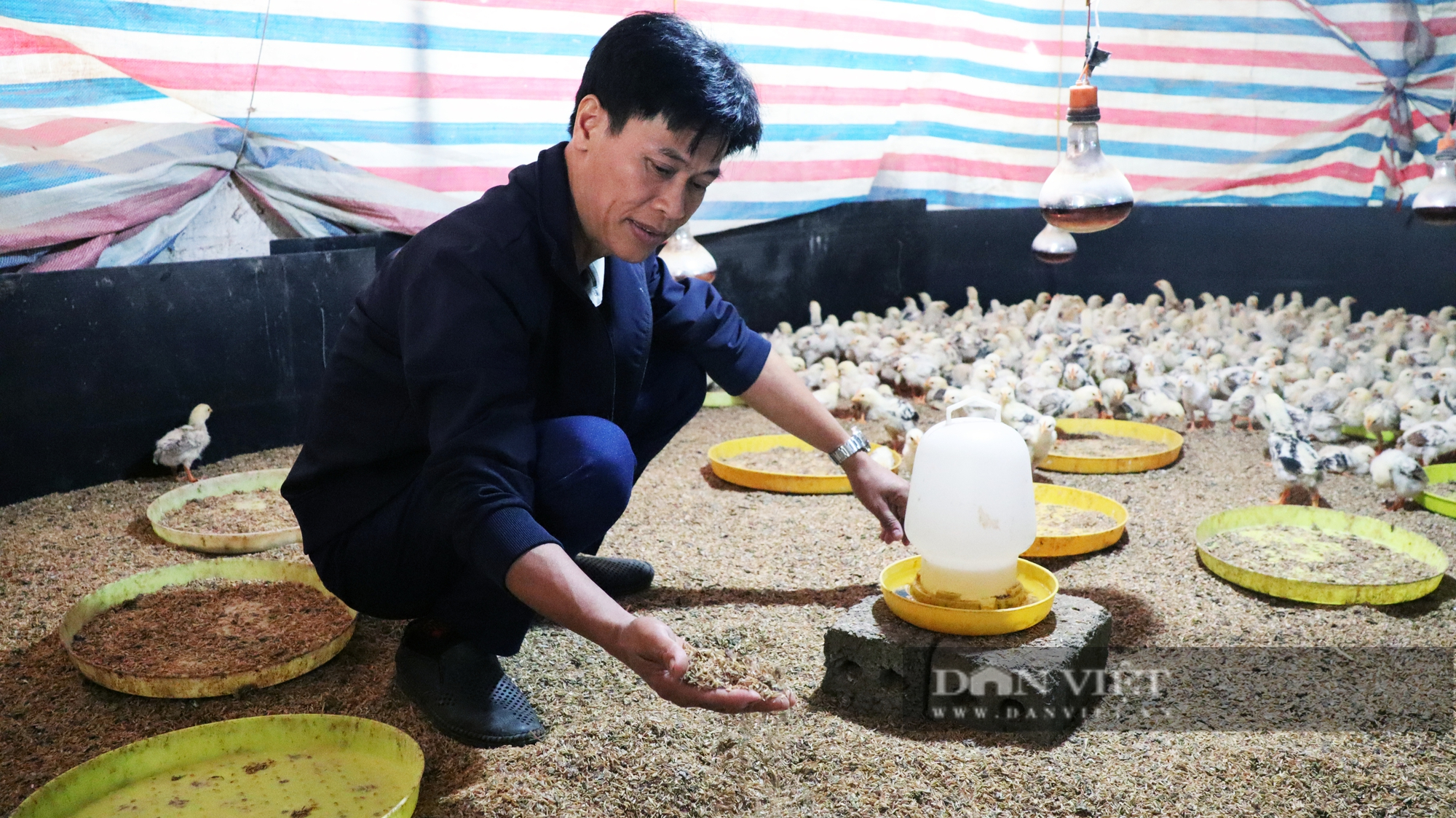 Sử dụng đệm lót sinh học, nông dân Hòa Bình vừa bảo vệ môi trường, lại chăn nuôi lại hiệu quả- Ảnh 1.