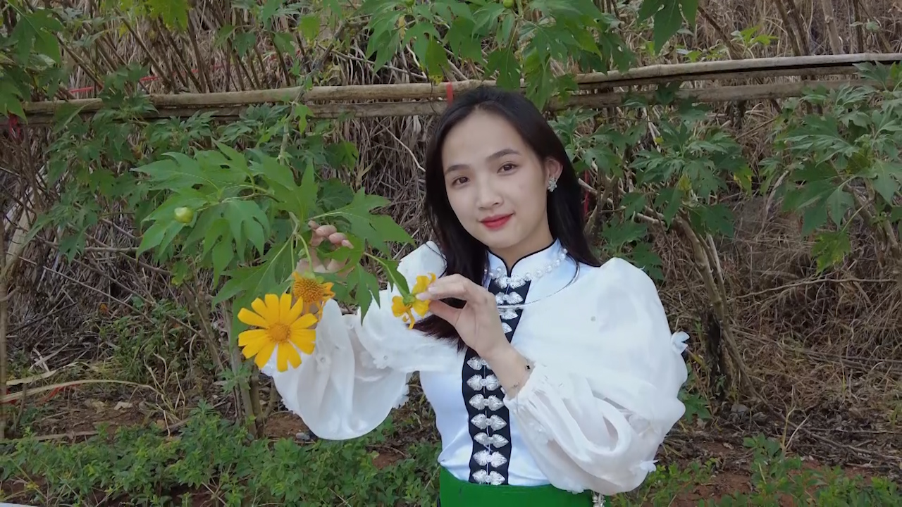 Mùa hoa Dã quỳ nở trên cao nguyên đắm say lòng người - Ảnh 8.