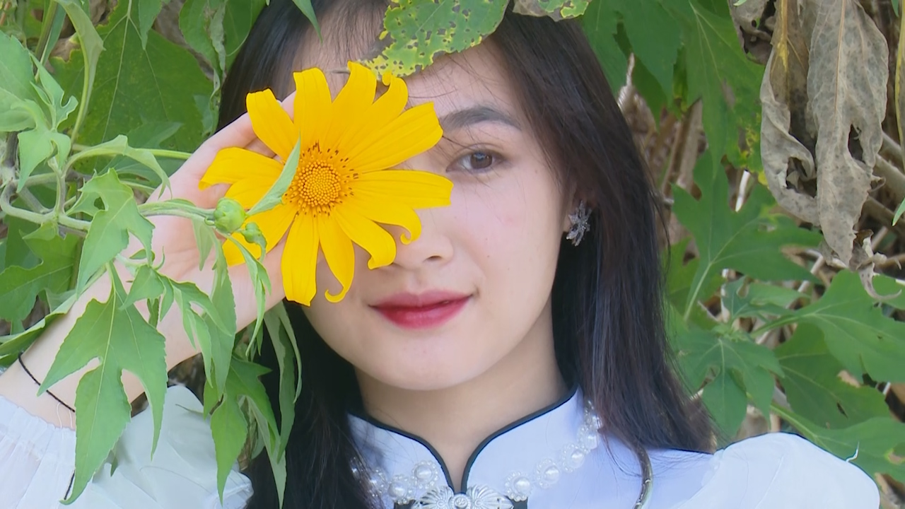 Mùa hoa Dã quỳ nở trên cao nguyên đắm say lòng người - Ảnh 2.
