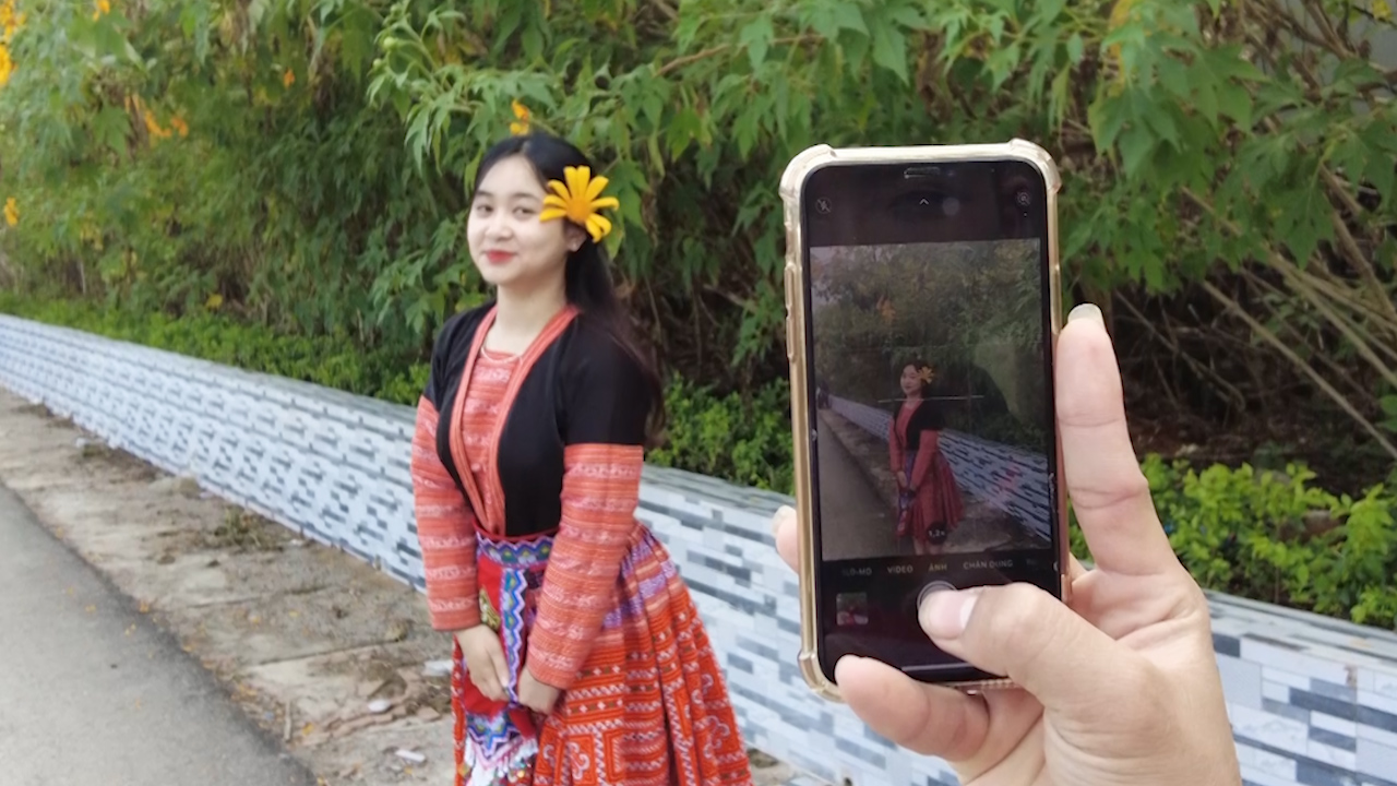 Mùa hoa Dã quỳ nở trên cao nguyên đắm say lòng người - Ảnh 3.