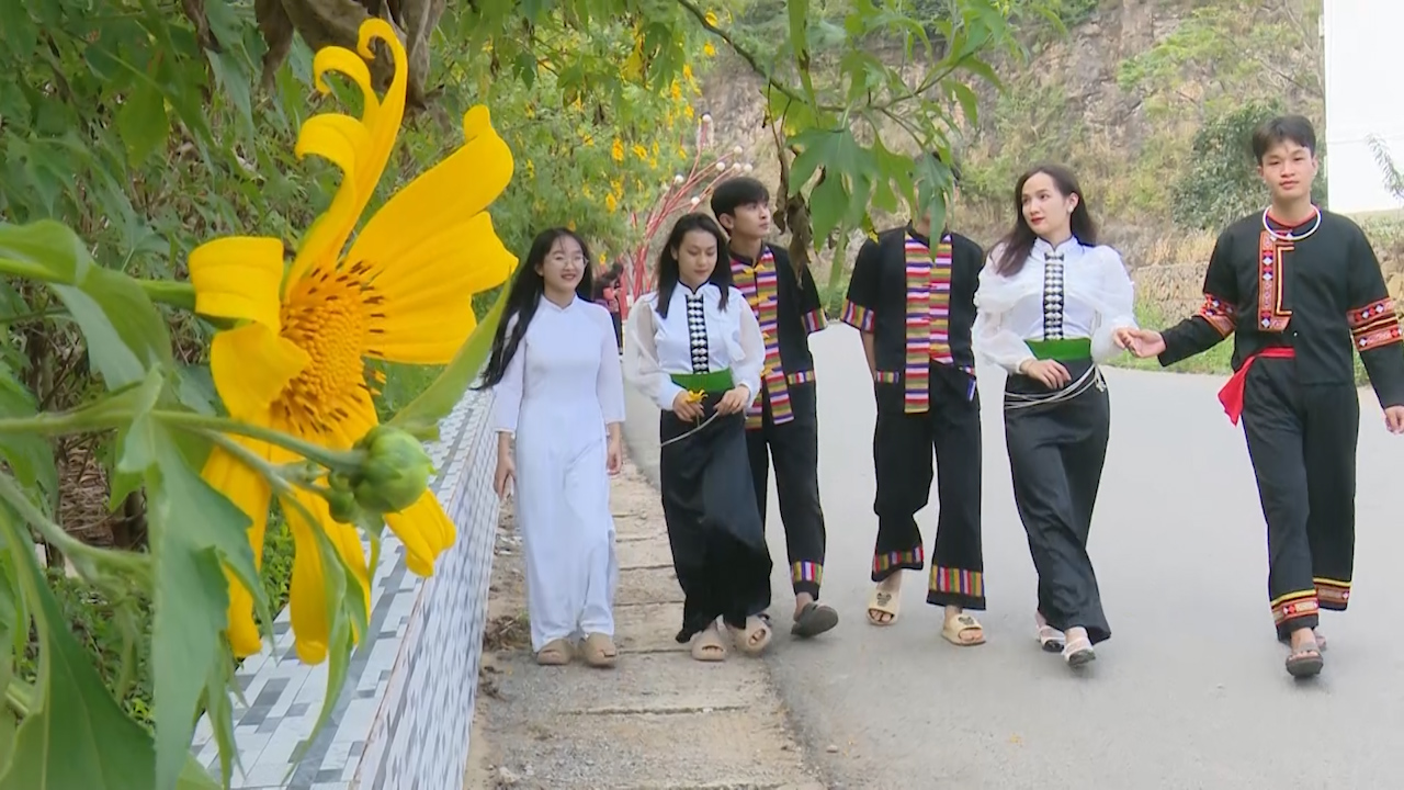 Mùa hoa Dã quỳ nở trên cao nguyên đắm say lòng người - Ảnh 7.