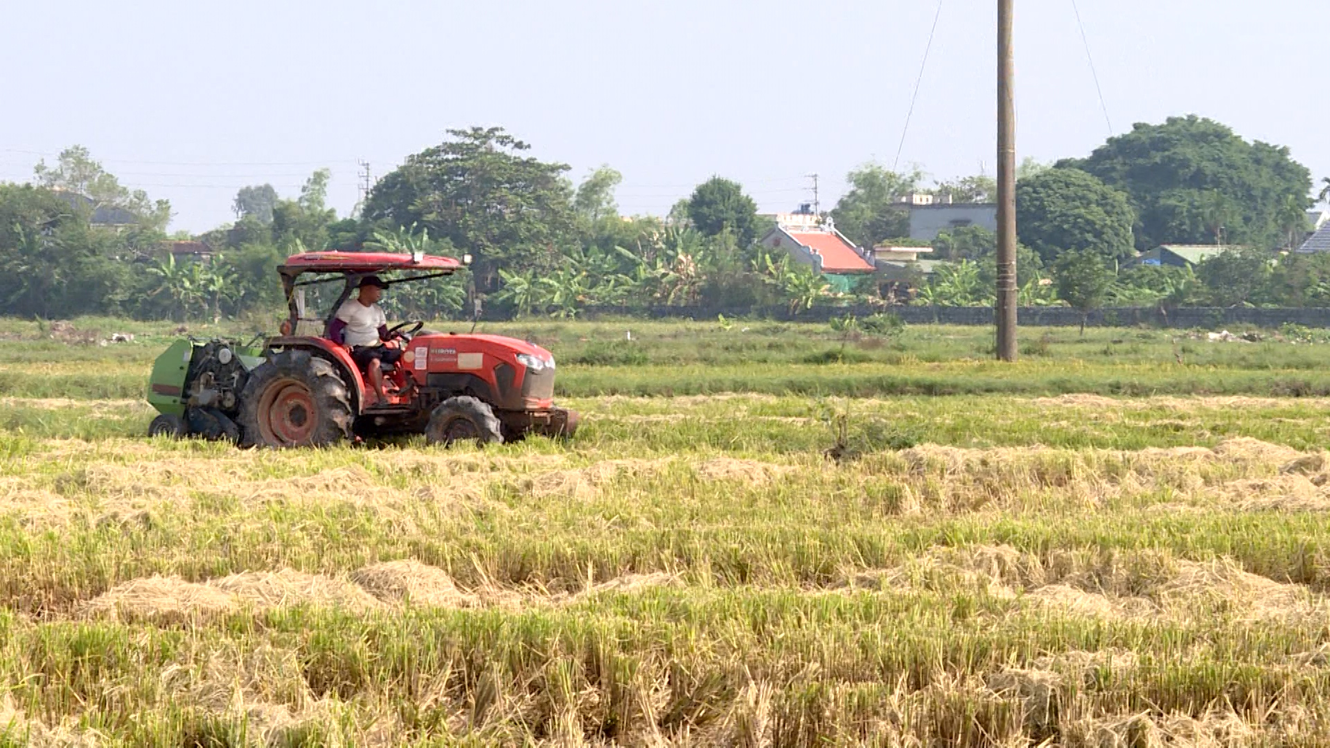 Thái Bình đang bỏ phí 1,2 triệu tấn rơm rạ trị giá 500 tỷ đồng/năm - Ảnh 1.