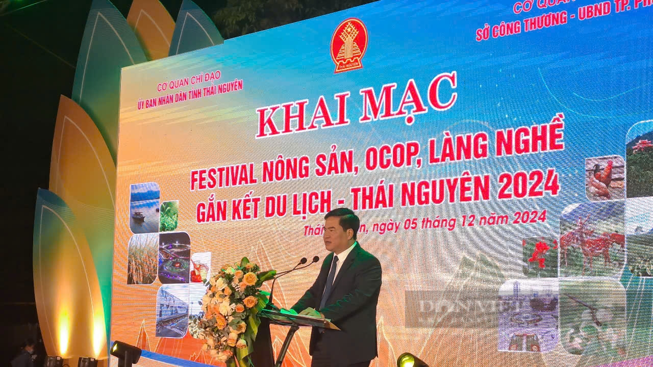 Nhiều hoạt động hấp dẫn tại Festival nông sản, OCOP, làng nghề gắn kết du lịch - Thái Nguyên 2024 - Ảnh 2.