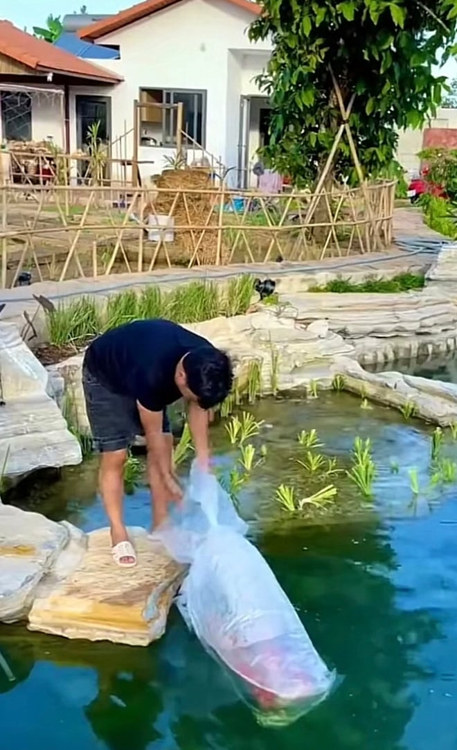 Vợ chồng Trường Giang - Nhã Phương tậu cơ ngơi mới ở Đà Lạt- Ảnh 16.