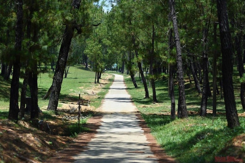 Đây là lăng tẩm xa kinh thành Huế nhất, nơi an nghỉ của ông vua sáng lập nhà Nguyễn, triều đại quân chủ cuối cùng - Ảnh 3.