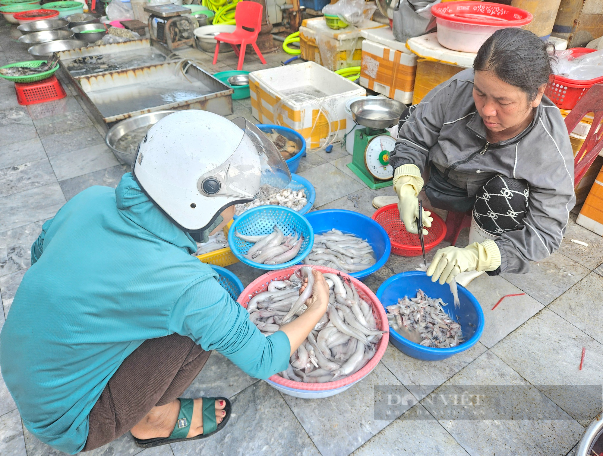 Quảng Bình: Loại cá xưa chỉ dành cho "người nghèo" nay thành đặc sản bán với giá 250 ngàn đồng/kg- Ảnh 1.