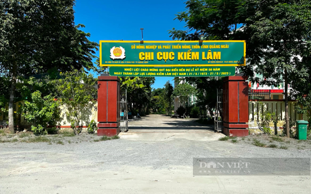Chính quyền Quảng Ngãi cảnh báo “nóng”, yêu cầu ngăn ngừa lợi dụng xoá nhà tạm, dột nát để phá rừng- Ảnh 6.