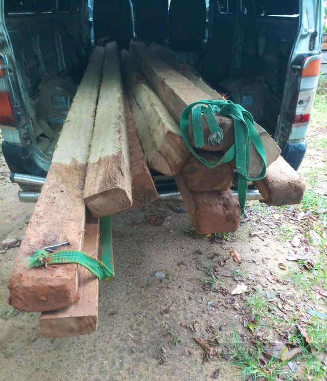 Chính quyền Quảng Ngãi cảnh báo “nóng”, yêu cầu ngăn ngừa lợi dụng xoá nhà tạm, dột nát để phá rừng- Ảnh 2.