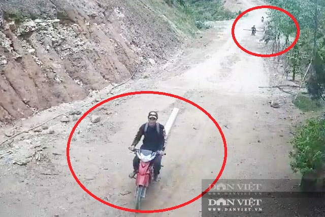 Chính quyền Quảng Ngãi cảnh báo “nóng”, yêu cầu ngăn ngừa lợi dụng xoá nhà tạm, dột nát để phá rừng- Ảnh 7.