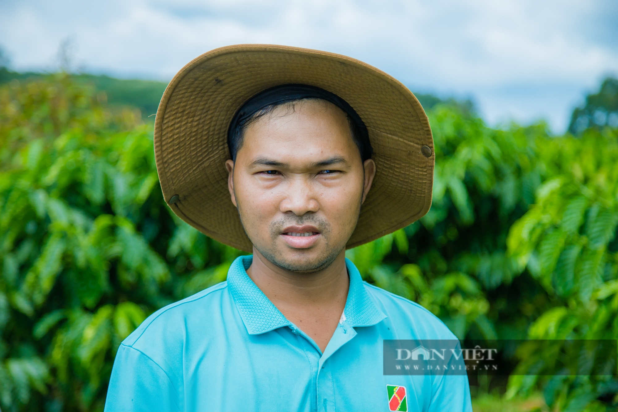 Giá cà phê bấp bênh: Nỗi lo đè nặng lên vai nông dân Đắk Nông - Ảnh 1.